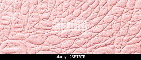 En cuir rose clair texture background, libre. Rose macro, peau de reptile. La structure de la nature du textile. Toile décorative crocodile de luxe. Banque D'Images