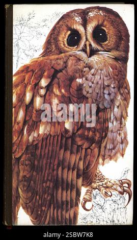 Couverture de livre rigide vintage, 'Book of British Birds' publié par Drive publications pour Readers Digest & AA. Première édition 1969 Banque D'Images