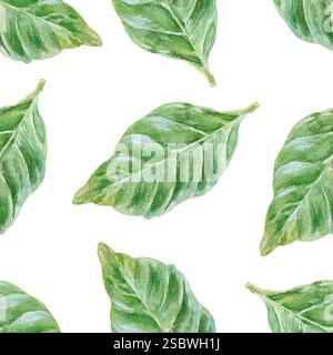 Motif sans couture des feuilles vertes. Illustration d'aquarelle dessinée à la main isolée sur blanc. Pour l'emballage papier, textile, couvertures, tissu, papier peint, backgroun Banque D'Images