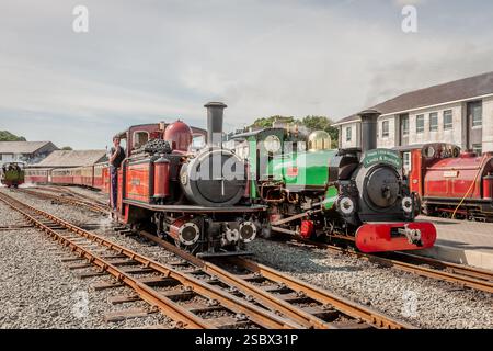 Ffestiniog Railway 'double Fairlie' 0-4-4-0T No. 12 'David Lloyd George' et Hunslet 2-4-0STT 'Linda' attendent à la gare portuaire de Porthmadog Banque D'Images