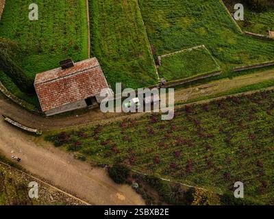 Vue aérienne des vignobles de la vallée du Douro, Portugal Banque D'Images