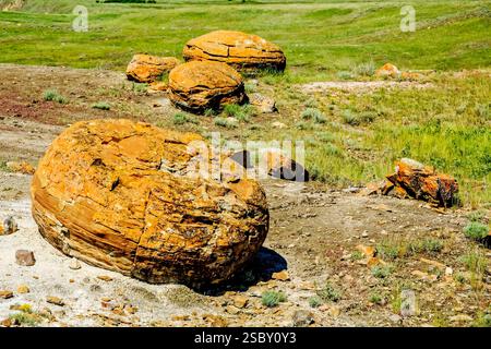 Un gros rocher est assis dans la terre. Il y a d'autres rochers dans la région. Le sol est couvert d'herbe Banque D'Images