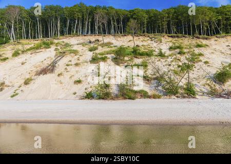 Falaises du parc national de Wolin. Plage au coucher du soleil, près de MiEdzyzdroje (Misdroy), un village dans le comté de Kamien Pomorski, Voïvodeshi de Poméranie occidentale Banque D'Images
