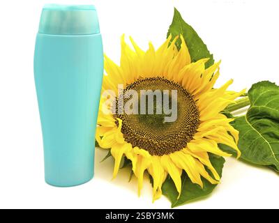Jaune Big tournesol près de la bouteille de shampooing sur fond blanc Banque D'Images