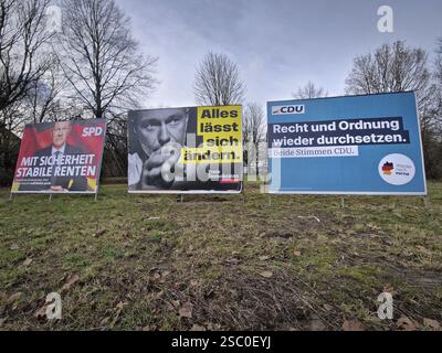 Des affiches électorales de la CDU (à droite), du FDP (au centre) et du SPD (à gauche) se dressent dans un pré à Francfort-sur-le-main, en Allemagne. Des élections fédérales anticipées le seront Banque D'Images