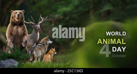 Journée mondiale des animaux, 4 octobre Banque D'Images