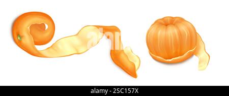 Ensemble de pelures de mandarine isolé sur fond blanc. Illustration réaliste vectorielle de fruits d'orange frais, mandarine douce pour jus d'agrumes, confiture ou cocktail d'été, nourriture biologique saine, ingrédient de cuisine Illustration de Vecteur