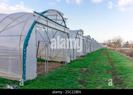 Serre dans le sud de l'Allemagne Banque D'Images