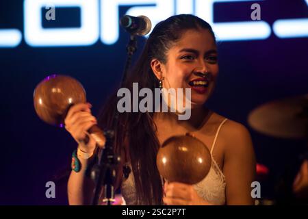 Phonoclórica est un groupe de musique électro-Folk colombienne. Circulart est un marché musical qui se tient chaque année dans la ville de Medellin, en Colombie. C'est un plat culturel Banque D'Images