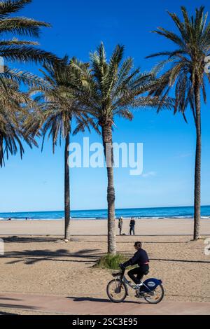 Palmiers sur la plage de Patacona, Alboraya, Valence Banque D'Images