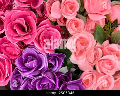 Belle disposition de fleurs roses en différentes couleurs, de rouge, marron, violet, rose. Série de bouquet coloré de fleur de rose fond sans couture Banque D'Images
