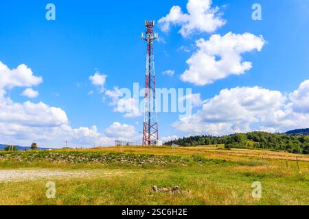 Tour de téléphone portable sur la prairie verte avec des fleurs dans les montagnes Beskidy le jour ensoleillé d'été près de Zywiec, Pologne Banque D'Images