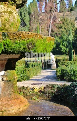 « Une vue rapprochée d'une fontaine historique couverte de mousse dans le jardin Giusti, Vérone. Banque D'Images