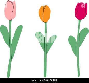 Ensemble de fleurs de tulipe isolé. Collection de fleurs avec des fleurs roses et jaunes sur fond transparent. Conception plate simple. Illustration vectorielle Eps10 Illustration de Vecteur