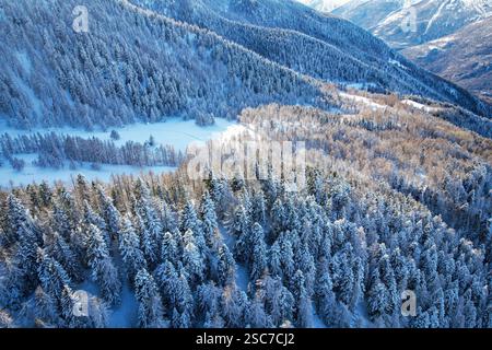 Vue d'en haut des arbres enneigés dans une forêt d'hiver dans les Alpes italiennes Banque D'Images