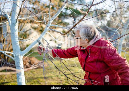 Femme jardinière utilisant des sécateurs pour couper des branches d'arbre sèches. Élagage printanier des arbres et des buissons dans le jardin. Passe-temps, jardinage, concept de ferme. Banque D'Images