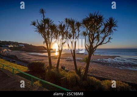 Swansea, Royaume-Uni. 06th Feb, 2025. Langland Bay, Swansea, 6 février 2025. Le soleil se lève de derrière les palmiers tandis que les gens marchent sur le sentier de bord de mer à Langland Bay, Swansea par un matin froid et glacial. Crédit : Phil Rees sport/Alamy Live News Banque D'Images