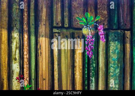 Peinture à l'huile mur de bois et fleur d'orchidée à la lumière du jour le matin. Peint à la main, fond, beauté, illustration, décoration d'espace de copie Banque D'Images