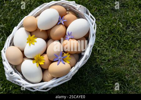 Préparation pour Pâques. Beaucoup d'œufs de poule frais blancs et beiges sont recueillis dans un panier blanc debout sur l'herbe, espace pour le texte. Ferme, volaille Banque D'Images
