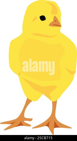 Petit poulet jaune debout. Illustration vectorielle avec fond transparent. Illustration de Vecteur