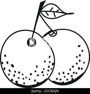 Vecteur d'icône de ligne de fruit orange. Illustration de fruits. Illustration de Vecteur