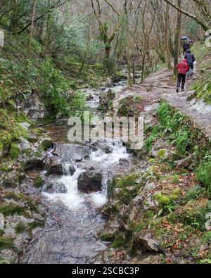 Pays Basque, Espagne - 25 janvier 2025 : une rivière traverse une forêt près des grottes de Zugarramurdi en Navarre Banque D'Images