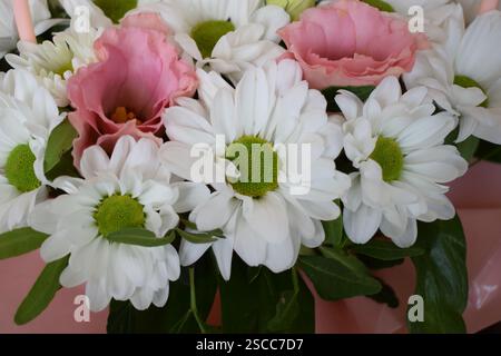 Photographie rapprochée d'un bouquet de fleurs. Il présente des fleurs blanches ressemblant à des marguerites, des chrysanthèmes avec des centres verts et des fleurs roses avec des p volants Banque D'Images