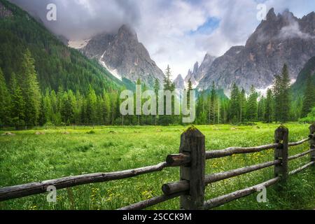 Beau panorama avec forêt et montagnes avec une clôture au premier plan. Val Fiscalina ou Fischleintal dans les Dolomites, Tyrol du Sud, Italie, UE Banque D'Images