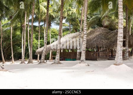 Île de Saona dans le parc national de Cotubanamá. Une île tropicale des Caraïbes avec du sable blanc, des eaux turquoises claires et des palmiers, République Dominicaine Banque D'Images