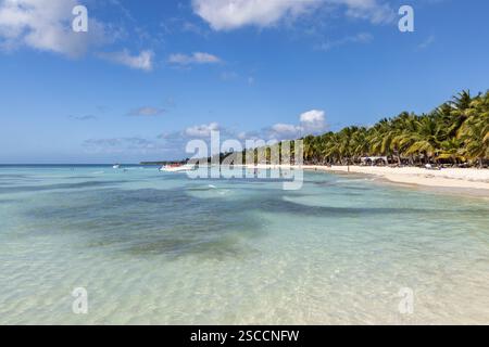 Île de Saona dans le parc national de Cotubanamá. Une île tropicale des Caraïbes avec du sable blanc, des eaux turquoises claires et des palmiers, République Dominicaine Banque D'Images