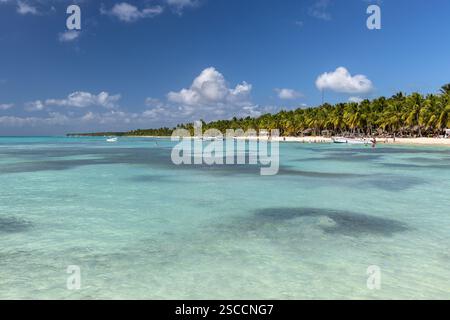 Île de Saona dans le parc national de Cotubanamá. Une île tropicale des Caraïbes avec du sable blanc, des eaux turquoises claires et des palmiers, République Dominicaine Banque D'Images