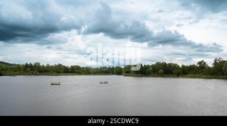 Biodiversité Haff Reimech, zone humide et réserve naturelle au Luxembourg, étang entouré de roseau et d'arbres, point d'observation des oiseaux Banque D'Images