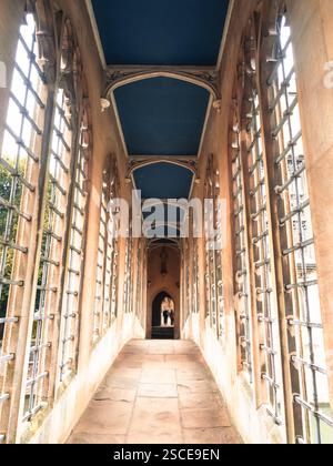 Pont des Soupirs, conçu par Henry Hutchinson, River Cam, St Johns College, Université de Cambridge, Cambridge, Cambridgeshire, Angleterre, Royaume-Uni, GB. Banque D'Images