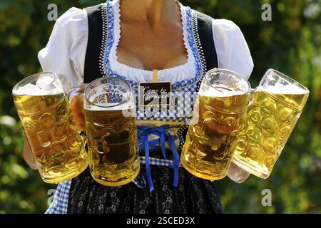 Serveuse busty dans dirndl, portant quelques tasses à bière, Oktoberfest, Munich, Allemagne, Mass, messe, tasse de bière, steins de bière, quatre, Oktoberfest, Munich, Federal Banque D'Images