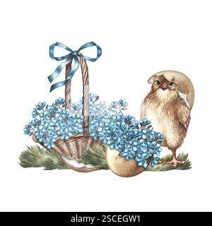Mignon petit poulet éclos à côté d'un panier et fleurs oubliées. Une illustration d'aquarelle dessinée à la main. Mettez-le en surbrillance. Pour les cartes de Pâques, packagi Banque D'Images