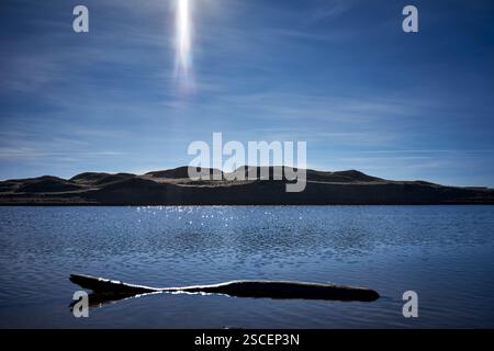 driftwood submergé dans le lac avec des dunes de sable et le reflet du soleil en arrière-plan Banque D'Images