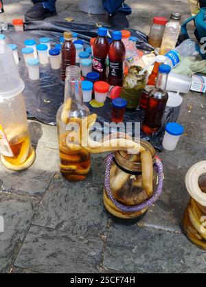 29 mars 2024. Caracas, Venezuela. Ventes informelles de Rhum de culebra. La médecine traditionnelle de quelques villes Banque D'Images