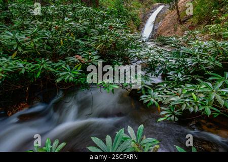 Belle cascade dans la forêt tropicale à Chae son Cascade au parc national de Chaeson, Lampang, Thaïlande Banque D'Images