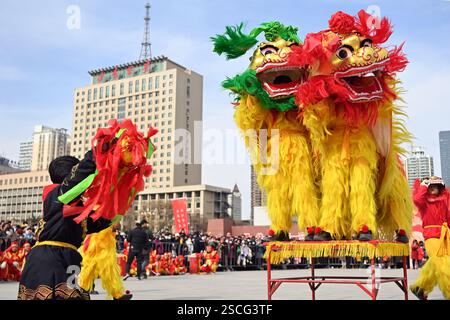 Lanzhou, China.6th février 2025. Des artistes folkloriques exécutent une danse du lion dans un spectacle Shehuo célébrant le Festival du printemps, ou le nouvel an chinois, le 6 février 2025 à Lanzhou, dans la province chinoise du Gansu. Shehuo parade est une coutume folklorique sous de multiples formes comprenant la danse du dragon, la danse du lion, la danse Yangko, le jeu de tambour et d'autres performances folkloriques qui peuvent varier dans différentes régions. Crédit : Jiumei Danzeng/China News Service/Alamy Live News Banque D'Images