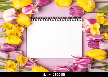 Cahier en papier ouvert avec page vide avec tulipes violettes et jaunes et jonquilles jaunes sur fond violet. Vue de dessus, pose plate, espace de travail sur fond violet. Banque D'Images