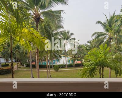 Vue matinale sur une piscine vide parmi de grands arbres et un jardin paysager depuis le balcon d'un complexe tropical. Banque D'Images