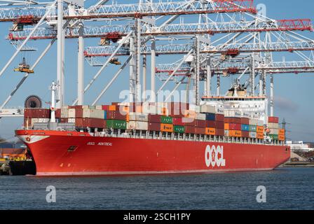 Un porte-conteneurs immatriculé à Hong Kong, OOCL Montréal, est déchargé au port à conteneurs de Southampton Banque D'Images