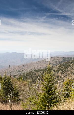 Vue panoramique sur la montagne. Des sommets superposés, des forêts et un ciel dégagé. Personne. Banque D'Images