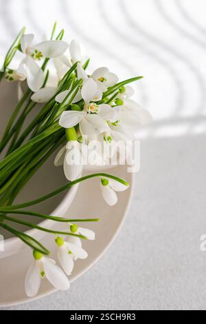 Vue de dessus de gouttes de neige fraîches de printemps élégamment disposées dans un bol blanc sur une surface texturée, mettant en valeur leurs pétales blancs délicats et leur vert éclatant Banque D'Images