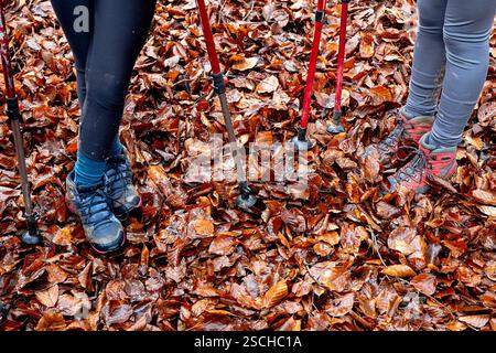 Deux randonneurs explorent un sentier forestier en automne dans une forêt magique. Des bâtons de trekking et des bottes robustes facilitent leur voyage à travers le tapis vibrant de Fallen L. Banque D'Images