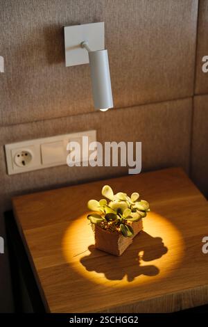 Détail moderne de la chambre d'hôtel avec une élégante applique murale blanche projetant une lueur chaude sur une table de chevet en bois avec une petite plante succulente. Minimaliste et Banque D'Images
