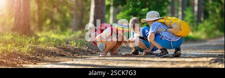 Trois enfants assis sur le chemin et explorant quelque chose sur elle dans une forêt estivale. Banque D'Images