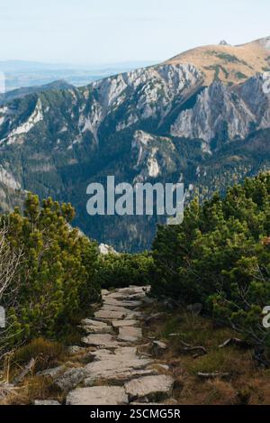 Un sentier de randonnée pittoresque en montagne serpentant à travers un terrain accidenté Banque D'Images