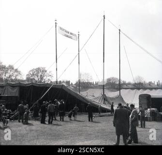 1955, historique, le grand sommet, la grande tente couverte du cirque Bertram Mills couché sur le sol avant d'être levé, Cambridge, Angleterre, Royaume-Uni. Commencé par Bertram Wagstaff Mills, ses deux fils ont repris le cirque en 1938 et il a continué jusqu'au début des années 60 Banque D'Images