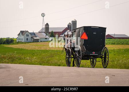 Buggy Amish tiré par cheval sur une route de campagne avec une ferme au loin. Banque D'Images